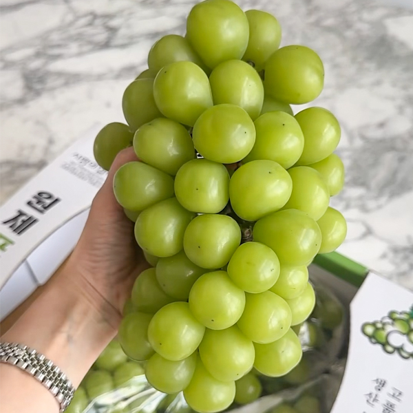 θӽĹ(4kg)